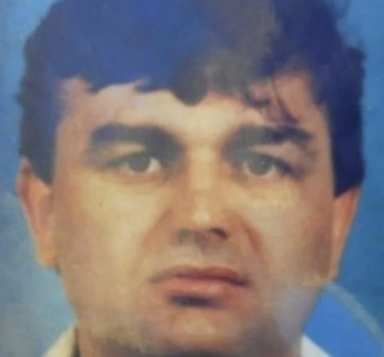 Vinko Budimir Slon