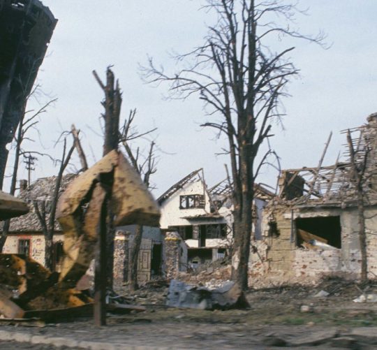 f 8976503 1280