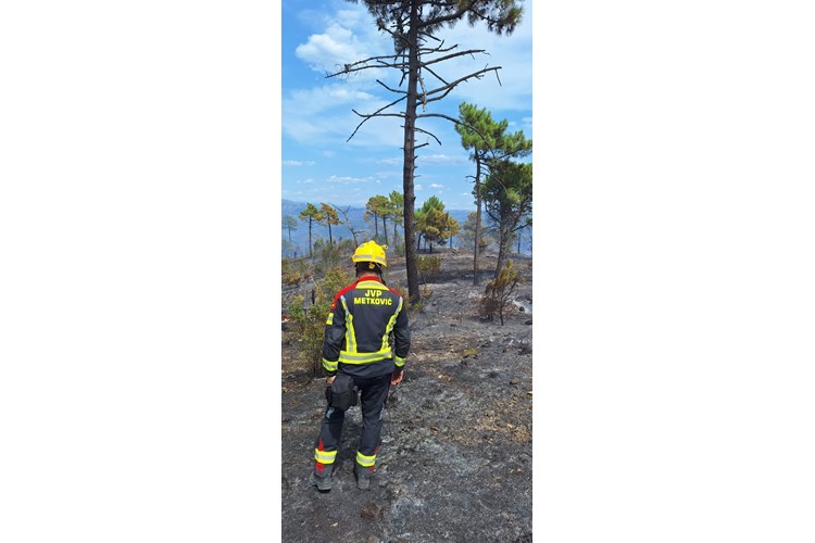 452913408 1187742952546349 426232080741958612 n