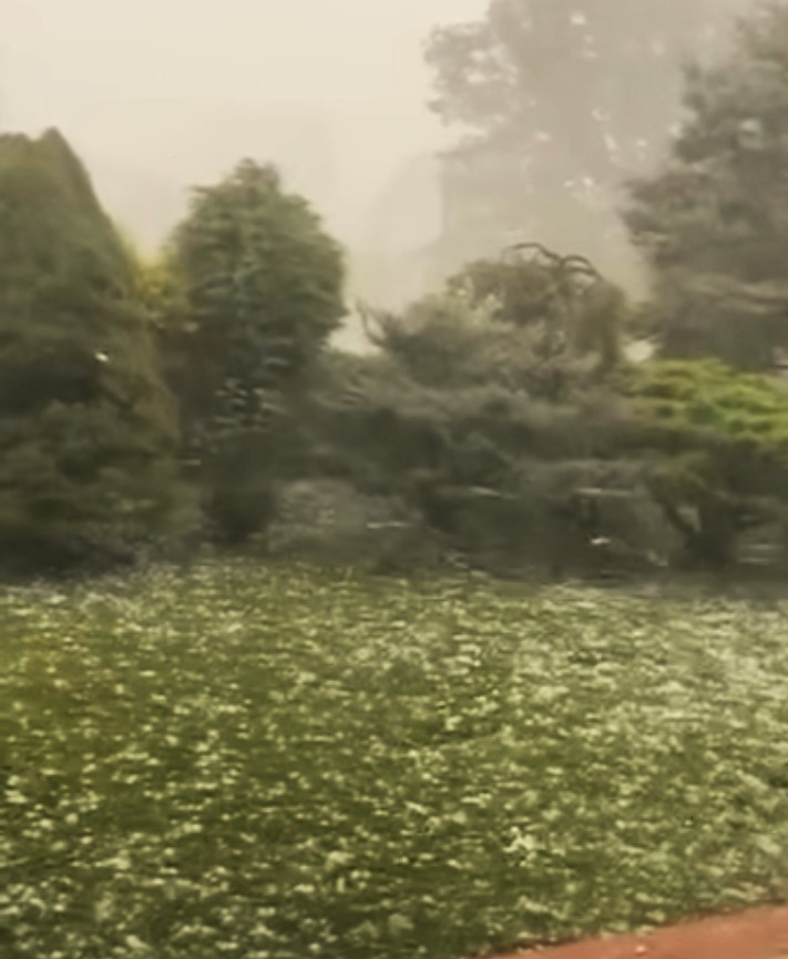 Screenshot 20240701 173230 Facebook