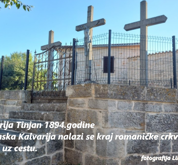 tinjan kavarija lili 1