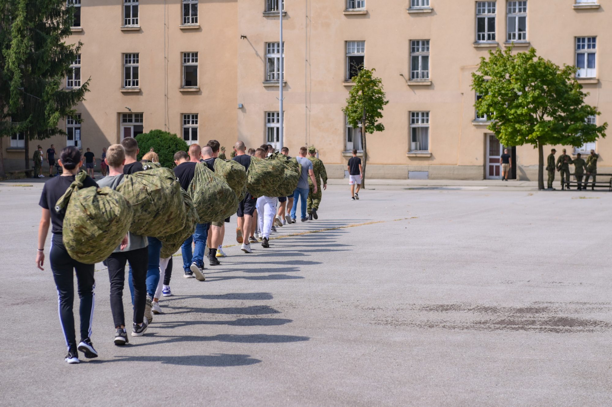 53933460583 d11dc84b01 o