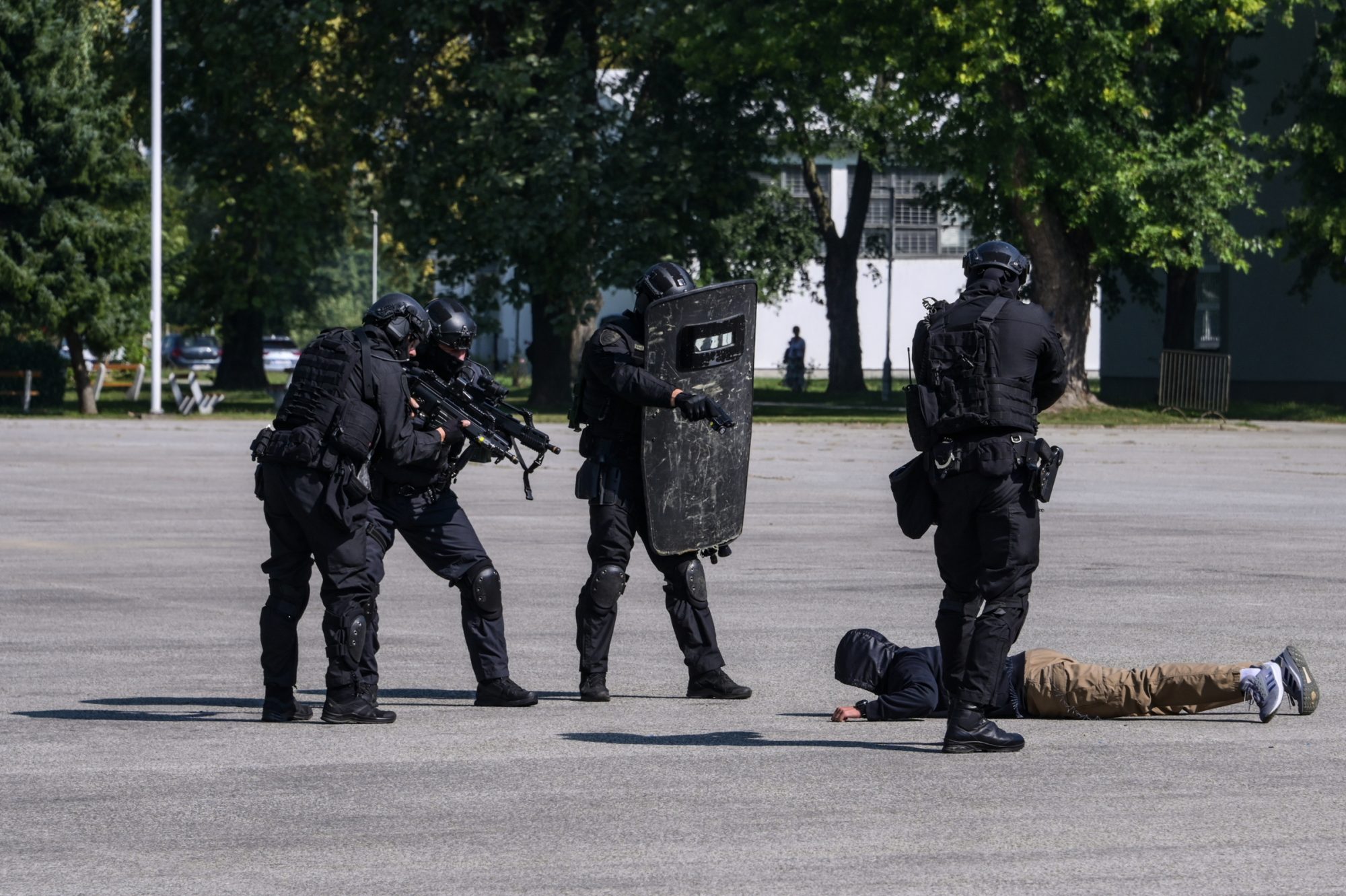 53954864937 7a1a93844c o