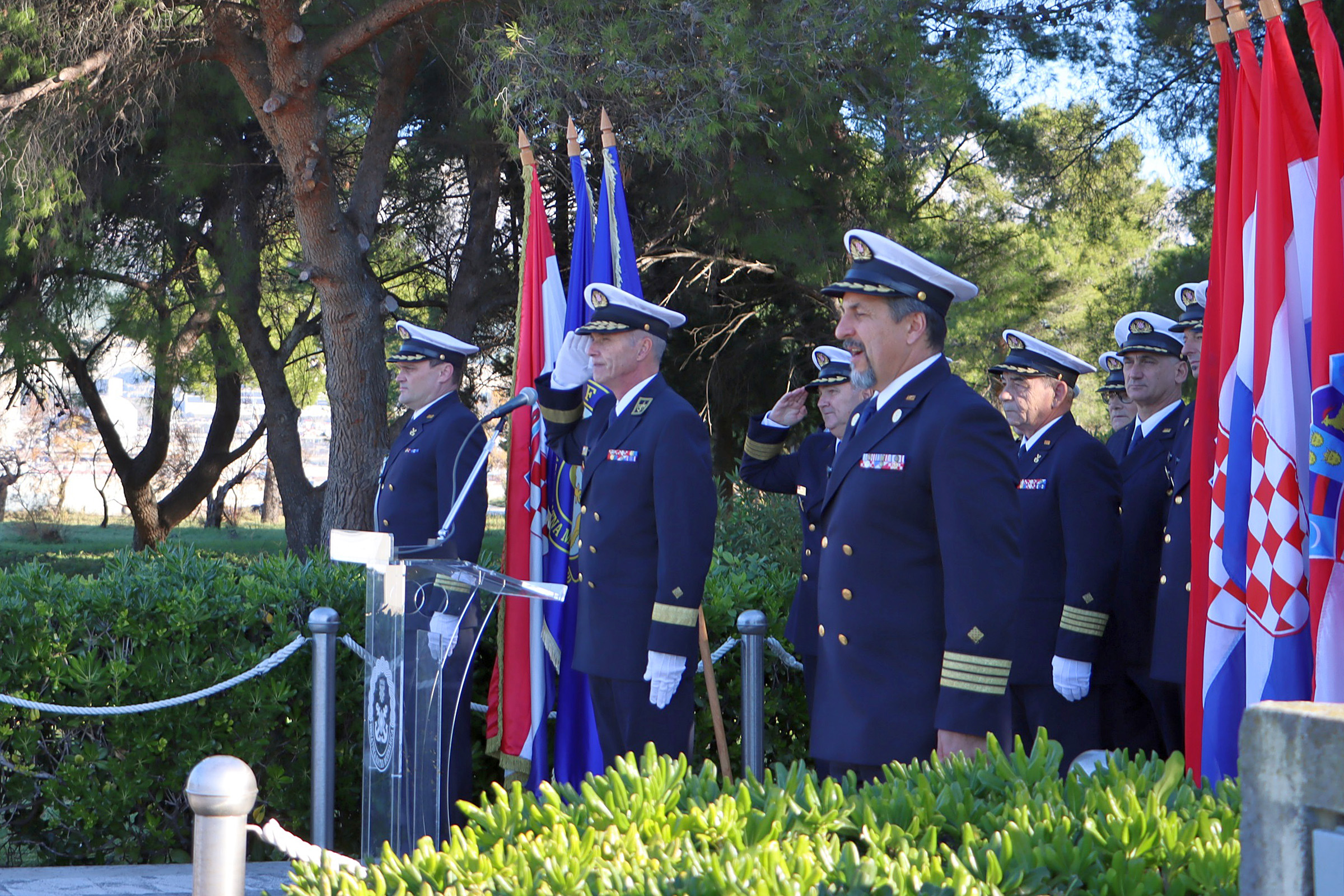 54236074903 4cf033059d o