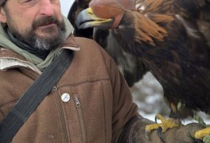 Održan 2. sokolarski susret u organizaciji Hrvatskog lovačkog saveza