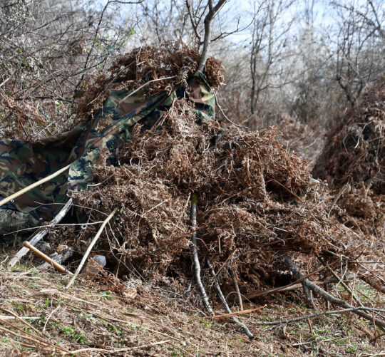 54424349805 6255e2dcde b