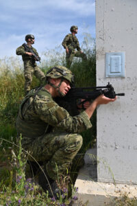 54533016338_b3a7d6833c_b