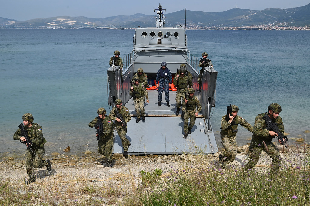 54533016608_787d189e56_b