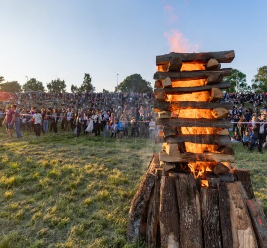 Trnjanski kresovi Zagreb