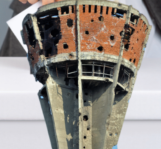 Vukovar Lokalni izbori