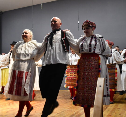 Folklorni ansambl Bilje