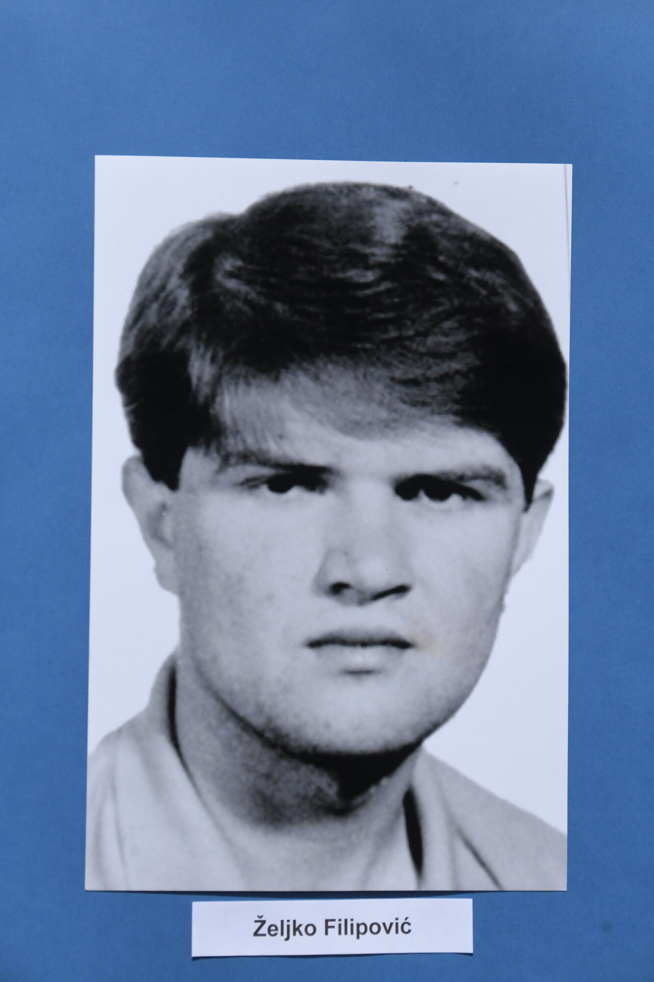 Filip Filipovic