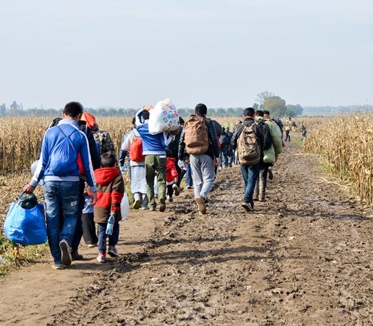 web arrest migrant smugglers
