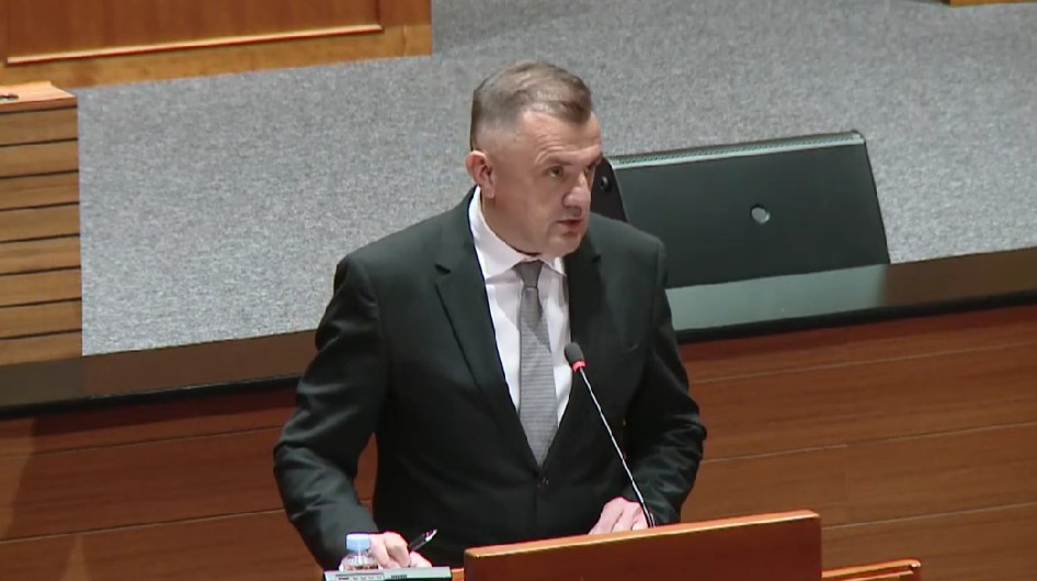 darko nekić hrvatski sabor