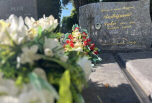 luka andrijanić slavosnki brod