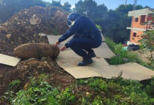 Deaktiviranje bombe Pula