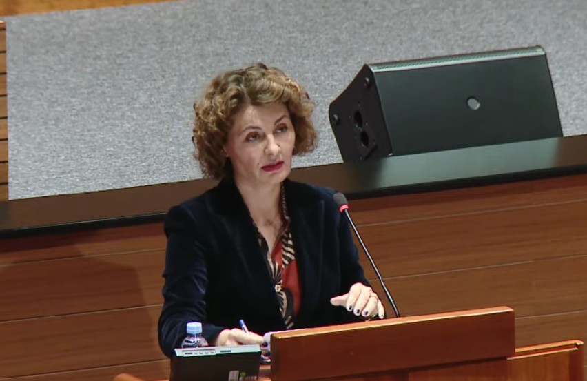 irena petrijevčanin sabor