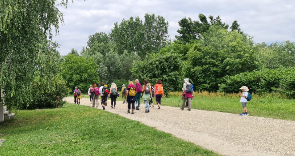 Bratovština sv. Jakova, nositelj projekta Camino Hrvatska