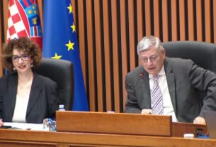 Željko rainer, Hrvatski sabor