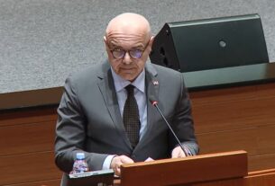 Alen Ružić, Hrvatski sabor