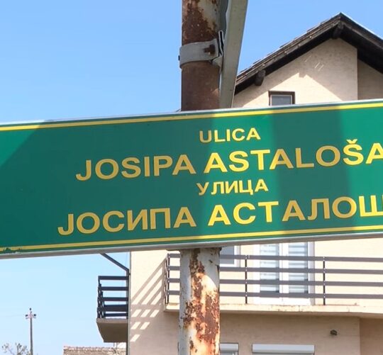 Dalj, Ulica vel. Josipa Astaloša
