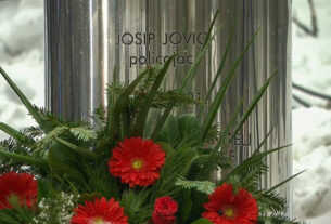 Akcija Plitvice i pogibija Josipa Jovića_