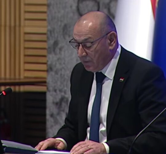 Ministar Tomo Medved _ Hrvatski sabor