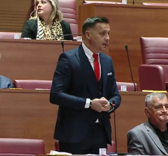 Sabor Ante Kujundžić MOST