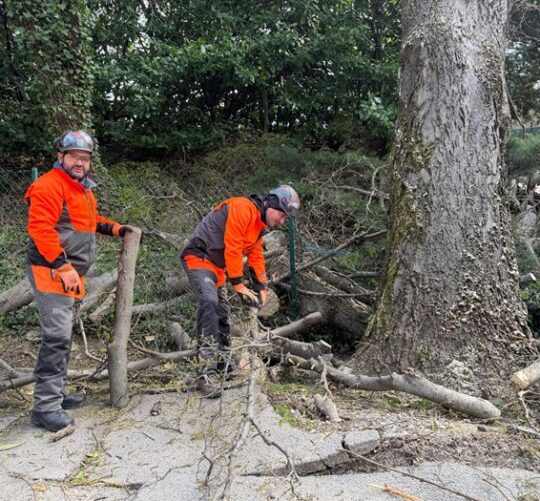Zagreb, sanacija olujnog nevrijemena
