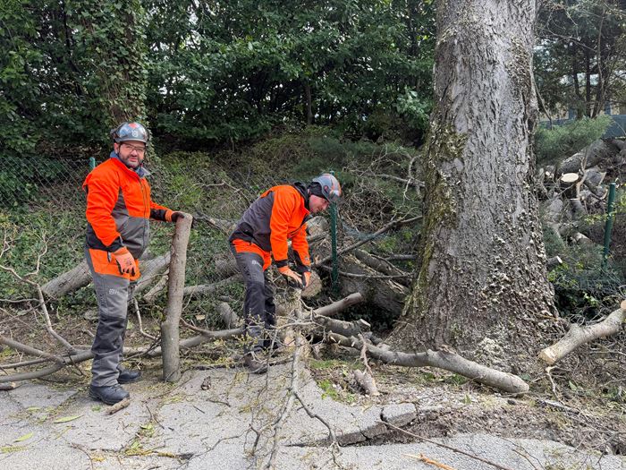 Zagreb, sanacija olujnog nevrijemena