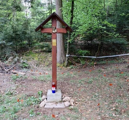 Crngrob_Slovenija_ekshumacija žrtava iz Drugog svjetskog rata