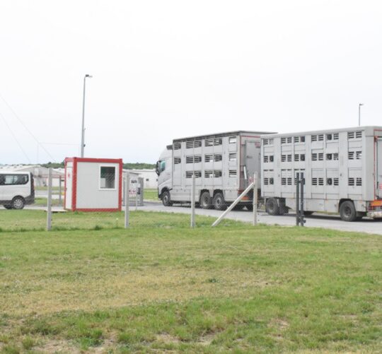 Farma Sokolovac Baranja, Podravka Agri