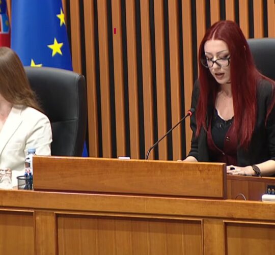 Hrvatski sabor, EMA Krošelj predsjednica