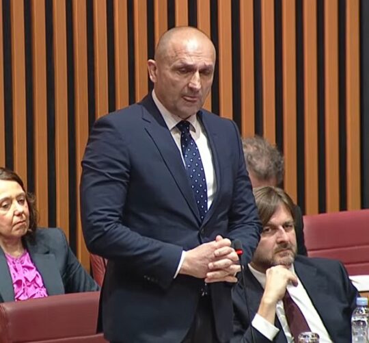 Hrvatski sabor Ivan Anušić