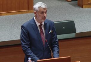 Hrvatski sabor Nino Raspudić