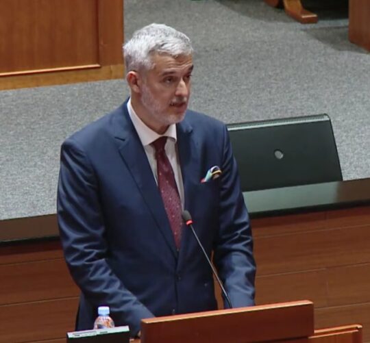 Hrvatski sabor Nino Raspudić