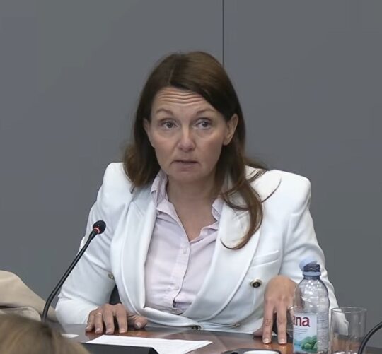 Maja Đerek državne nekretnine _korupcija