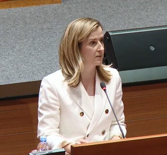 Mirela Ahmetović SDP Hrvatski sabor