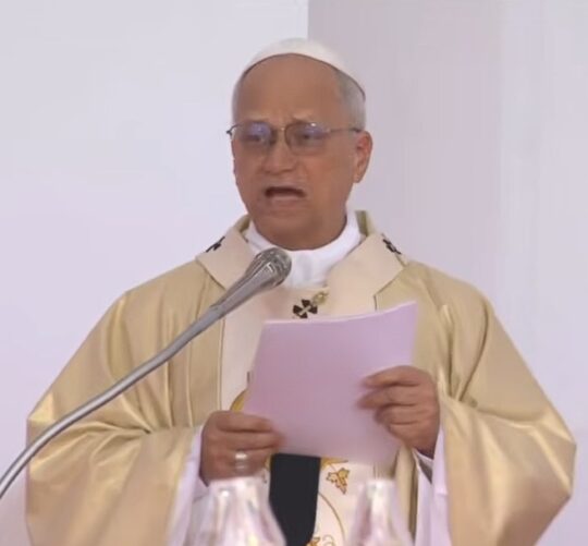 Papa LAv XlV u Angoli