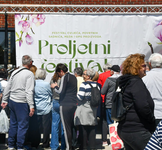 Proljetni festival u Čepinu