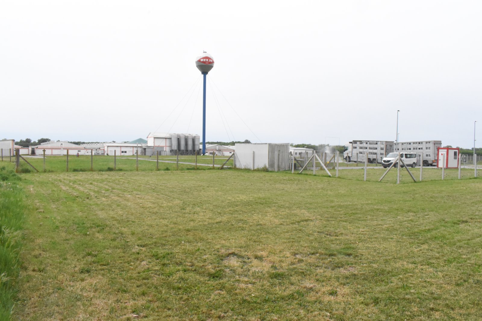 Sokolovac farma svinja Baranja