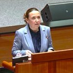 ministrica Irena Hrstić, Hrvatski sabor