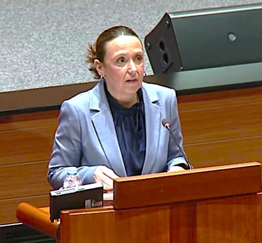 ministrica Irena Hrstić, Hrvatski sabor