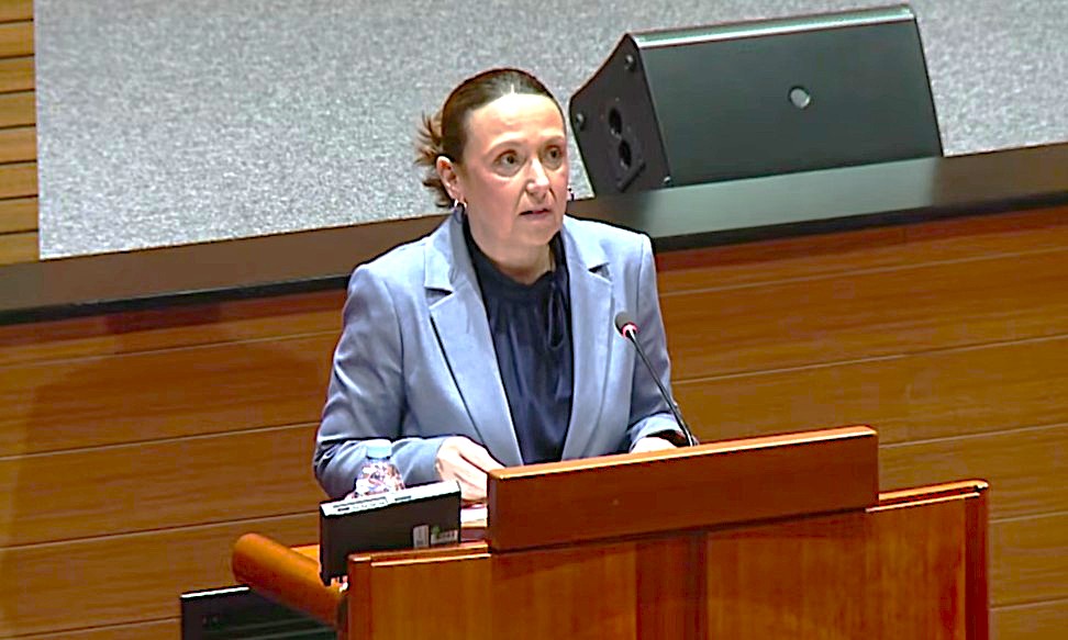 ministrica Irena Hrstić, Hrvatski sabor