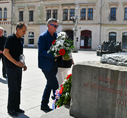Ante Starčević, Otac Domovine