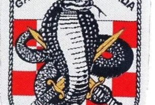 3. bojna Kobre