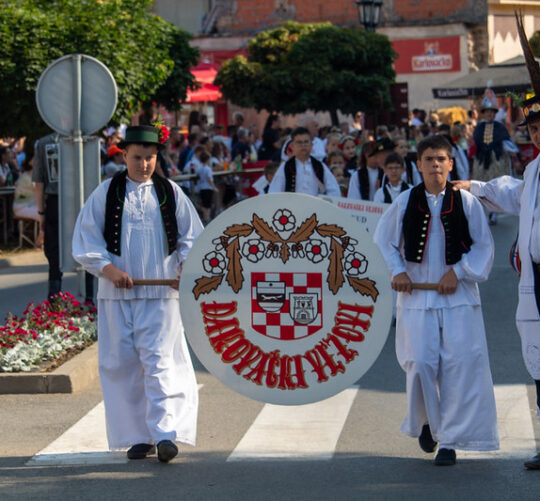 59 Dakovacki vezovi