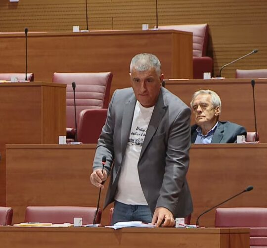 Pupovac u Saboru