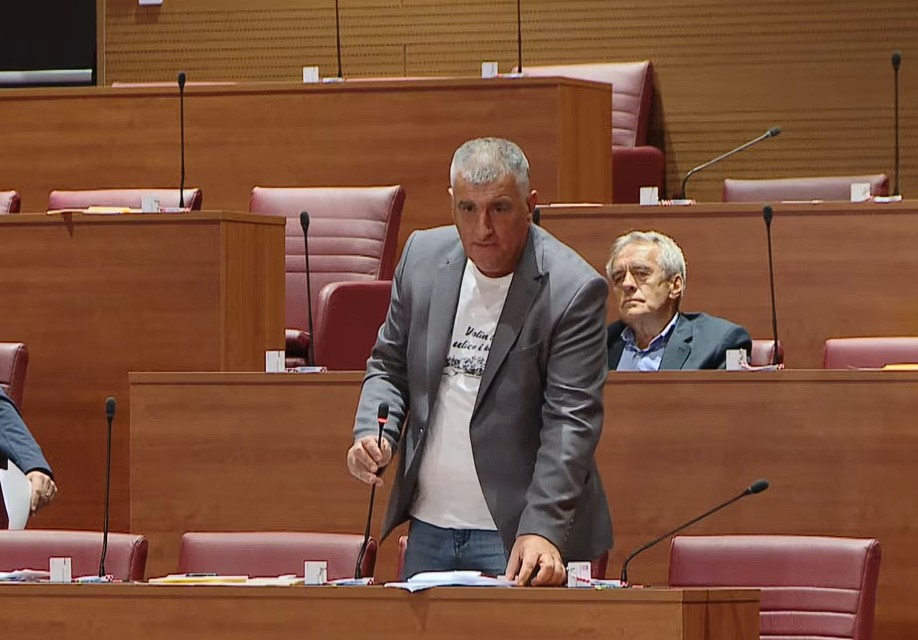 Pupovac u Saboru