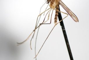 Virus Zapadnog Nila